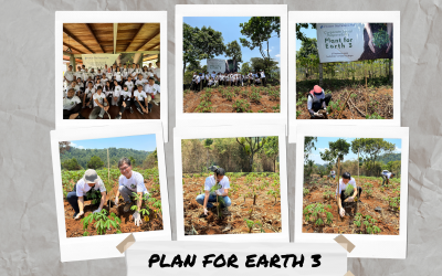 plan_earth_3.png